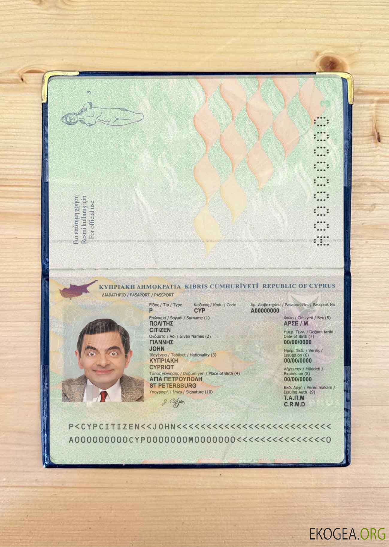 Look de photo de passeport chypriote